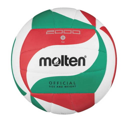 Molten 2000 FIVB Standard Volleyball - V5M2000