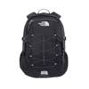 The North Face Borealis Classic 29L Backpack - NF00CF9CKT0