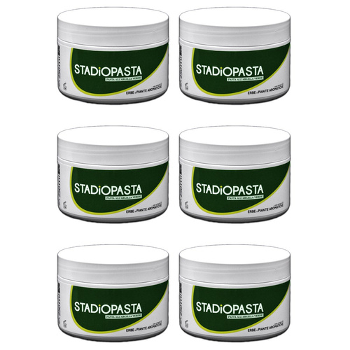 Stadiopasta Pommade de guérison 250 ml x6