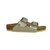 Arizona Kids BS Electric Metallic Gold
