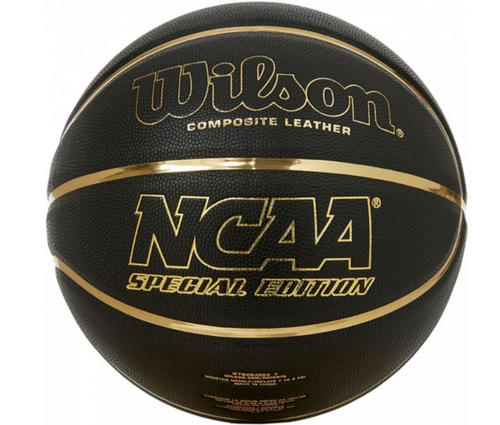 Sure Shot 509 Bronx Panier de basket avec fixation murale