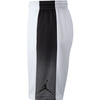 Air Jordan Basketball Game Short de basket - 831334-100