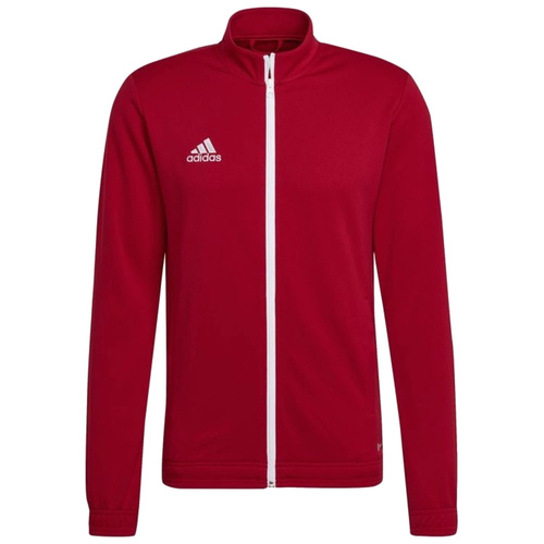 Adidas Tiro 19 Pantalon - D95951