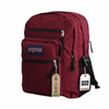 School Backpack JanSport Big Student Russet Red + Vans Pencil box