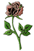 Patch pour vêtements Rose
